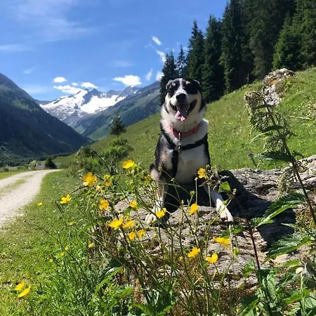 Apartamento Barbara Ramsau im Zillertal